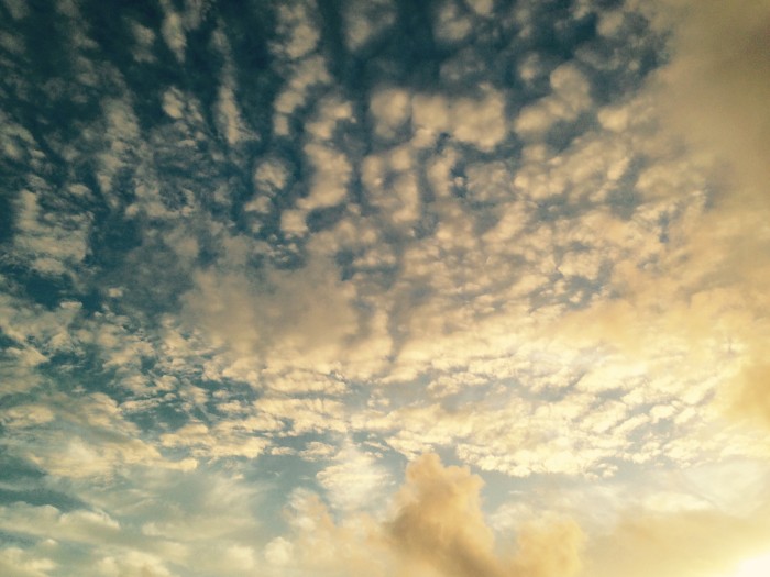 0100be1105104da88d44c3c8ee36299b2d70bd9df2