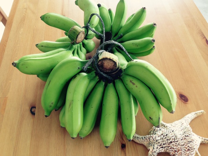 010486dd4e364e59e30ade08f65cd5073824b77c90