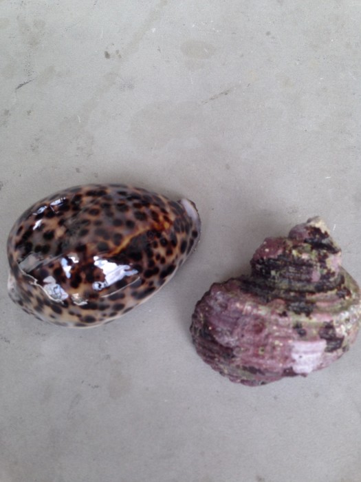 01088bf62fbdd9b8ec563d11344662537709a79b70