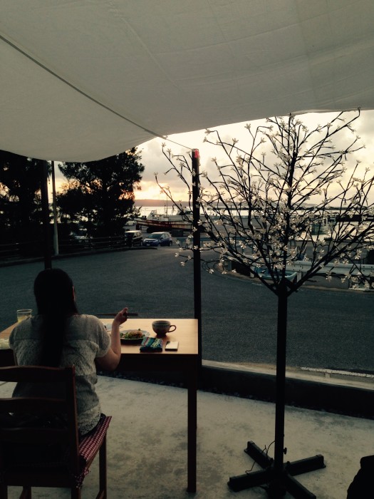 0116a0952458f8b987e838301fc4612b48c0ab66e0