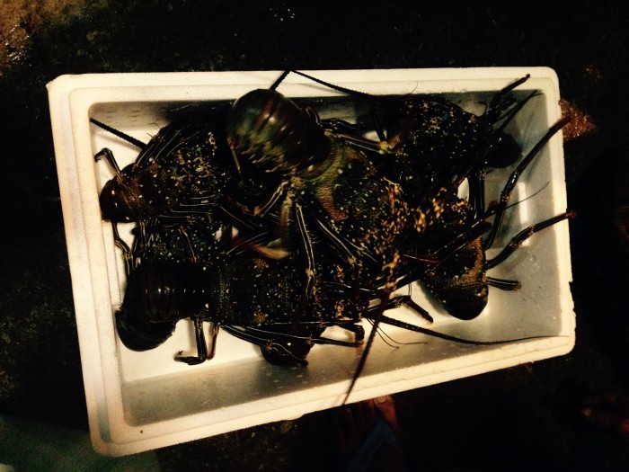 011b55e9afc980f4461233c063484719032eb47c64