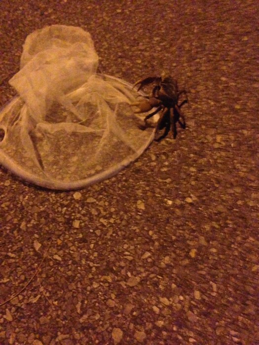 0127b43bdc3899806ade5ef16a2d29b2cba9ebc7b8