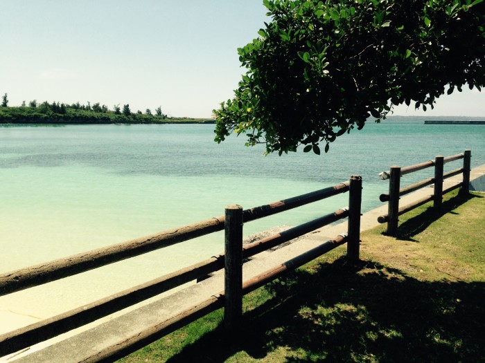 01290d24ccd7a113a4ca180a17868bb27c0849fe68