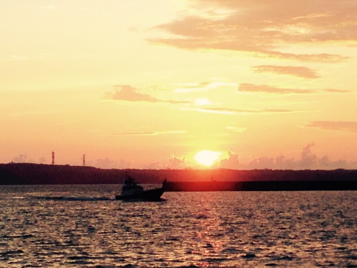 0138e61386869a2359e7b7ed96e28c7228b4b6261b