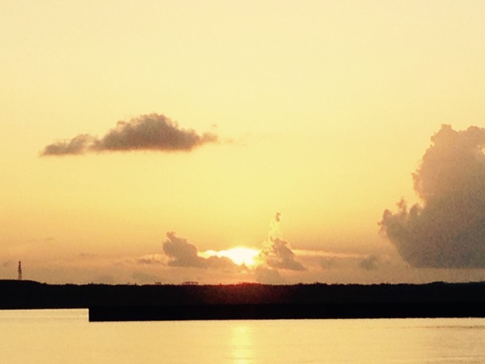 013a03dd34c2874941784cb48603f0e532b704926e