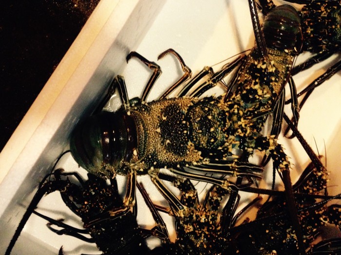 013fa9a6f761af65e12f0656a146e01d13a80dd49e