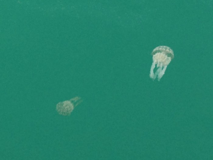 0146e381ef061ef5770d11d9246a7eed2c5de2c16c