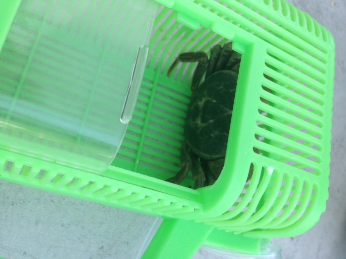 014e5dbfb6e3ba573125ac8c868ada8d5d2316d1dd