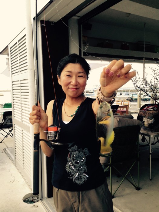 0152bbdaa1dbbcb99f7f56bec1c2b2501fb7338578