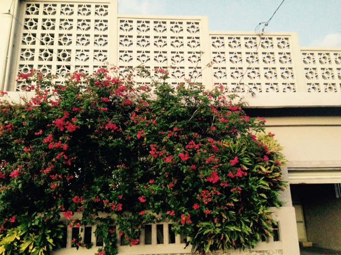 01689760e3ce9e74c0602113fd066bb086cf4ae9a0