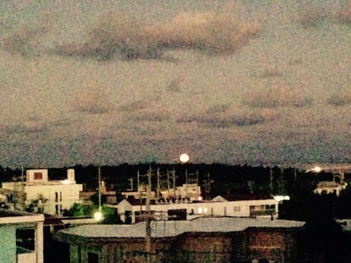 0169488fd9fdade417e60b1f4643d36a9dab894f2d