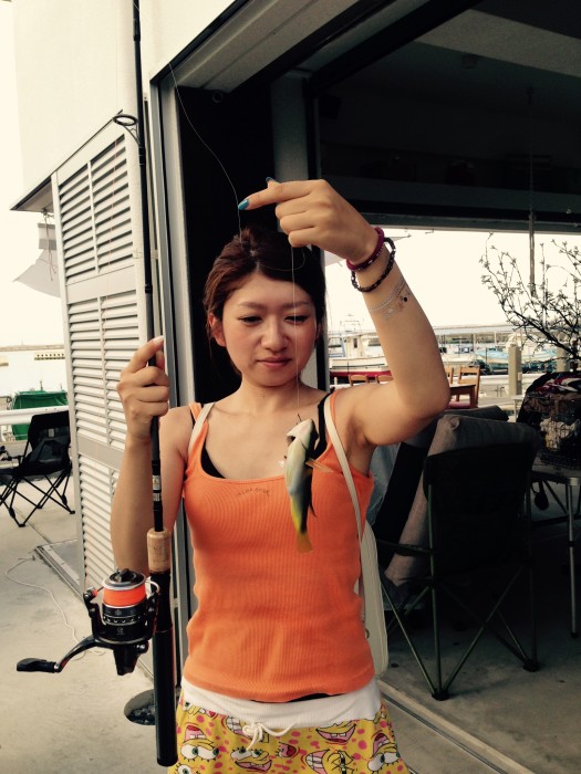 0171d3f1175e257da5433d81c70e5879882fab05dd