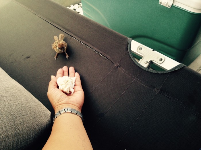 0172654aabe2bde44a15f24f43135dd32603ca1ada