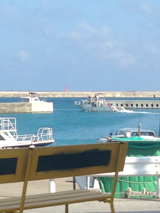 0177124459abc466d2793d248ca60c9dfde8fa819d