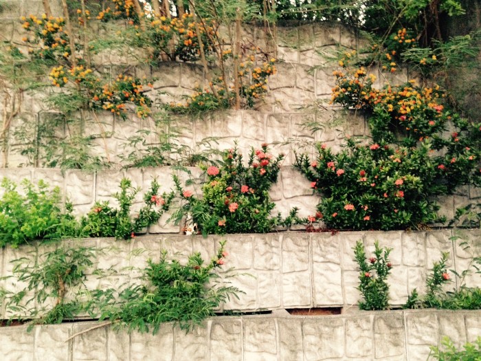 0178f037ea05b879ba524b580ed91d3a2b64f7e13f