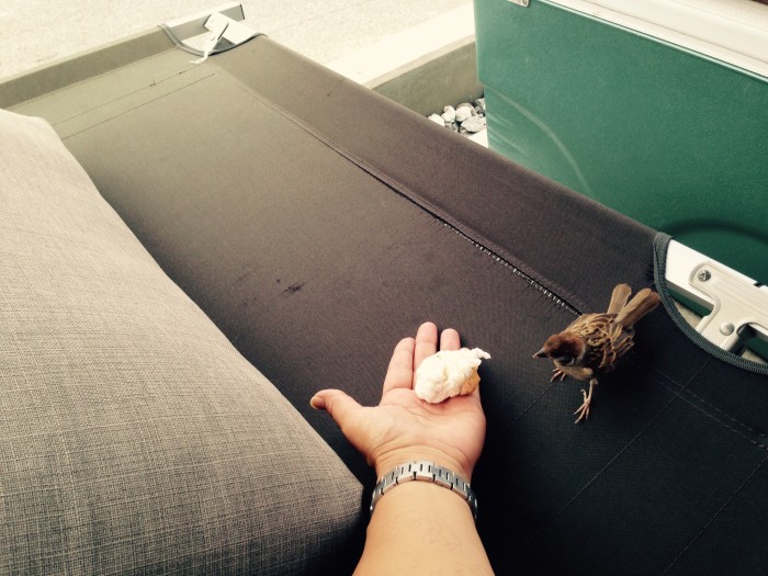 017f58aadf3deb659a15f0be05b93ab4fefd789d6e