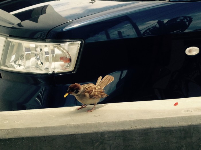 01806435121c029ccf826458e4aaafe2a147b3ee28