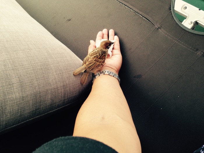 01961dd46215aa7a13c54e682147181233e8dd81a9