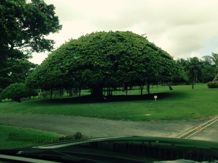 01c26afd4c183df16d42f7ad4db933bede926b025b