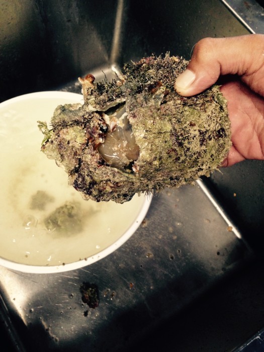 01ca6a2f2fa0990480652944629eb841bb9e336177