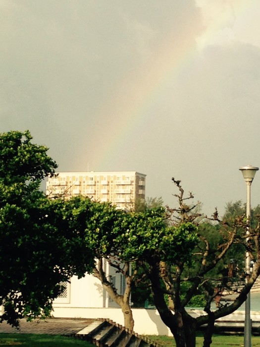 01d1628b512186e72eba8deef275f746f51a6f24e5_00001