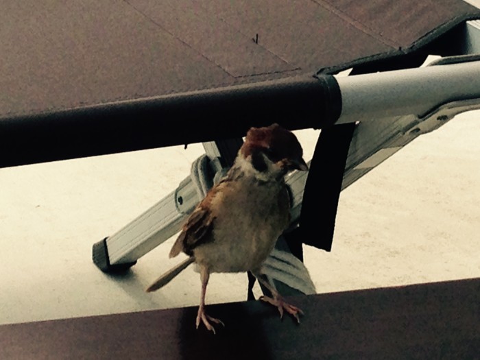 01d7442b9341bd803e8583e5781fef3dd0c3abfabb