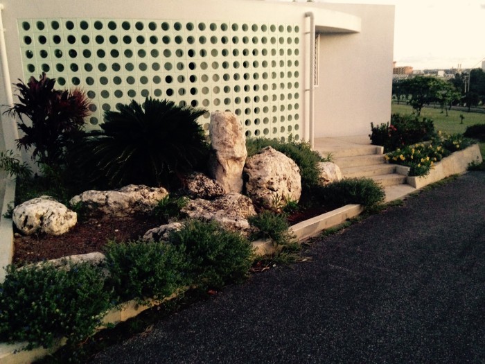 01e0fe7490830cf39a38e21cfce87470a11967a0f2