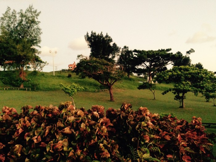 01ebe27bf040584436aa20dca4d062c07b324f0a41