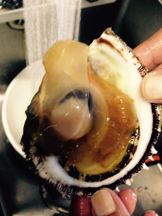 01fa1609a09f5ba8a5b29076748b9e905d9bedf516