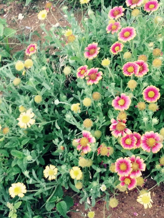 013e9617c3b0a4d3264720e5dbb1c19d29cf59ba9b - コピー