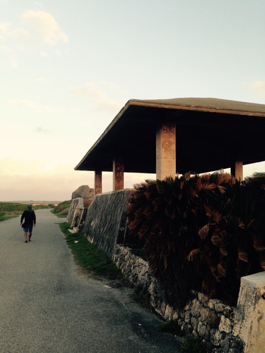 0128060483722f9b08f641b116e8987264f2637679