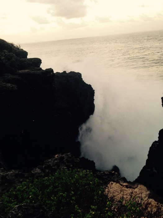 013d32e642df0bb7c38fb61725cc37e1bc02d530ac