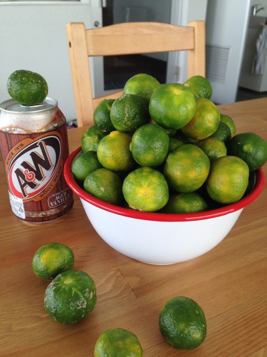 013e207b3357df60987c246c601ef01ad6241ab4f1