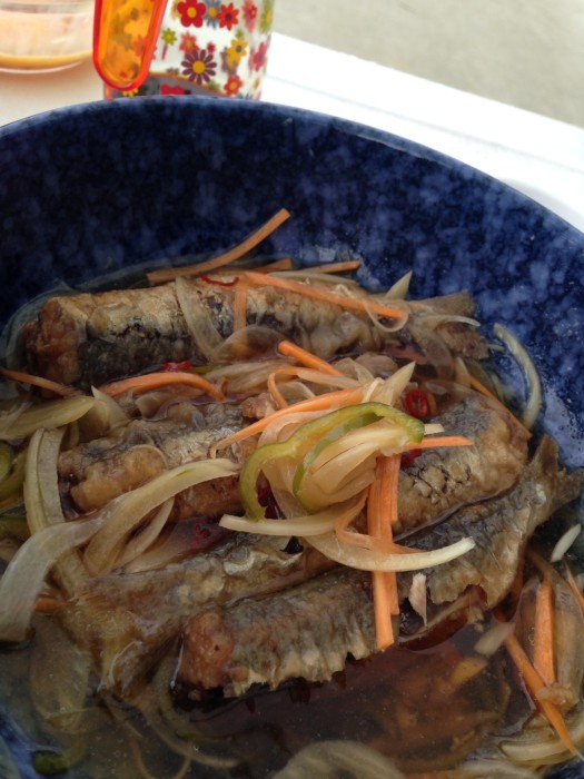 016ea4c8ca4665a59eb026548edda0c4728796fb66