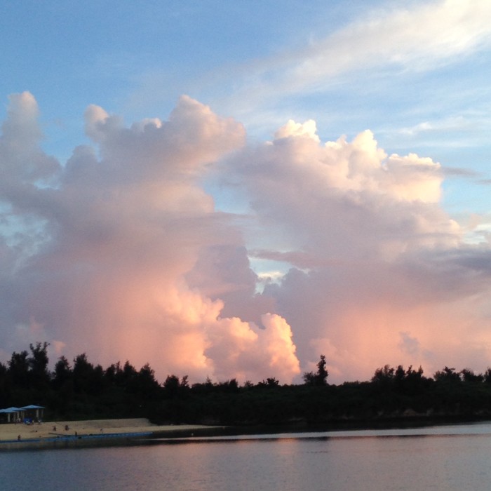 01710f153f628a668c94a0056c6c48947e57c99d67