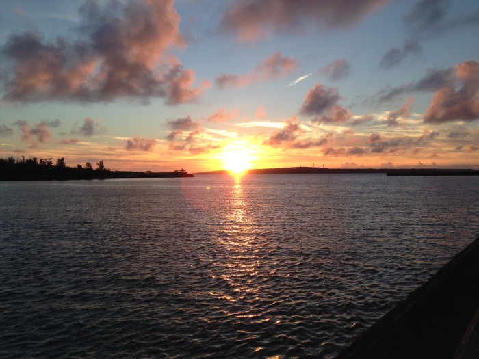 0188fd534f906a6a52f33205277b65765c735ff9e4