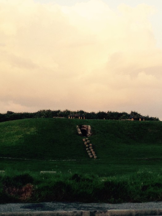 018a266a1f3fc44372e43e653f31548a5ca99faa84