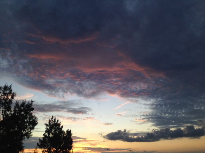 018be1c93278b1e10725d544d755a1a5c3cc12003d