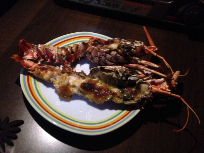 019c6b46df130d9c8f38510145190b34b97531e34a