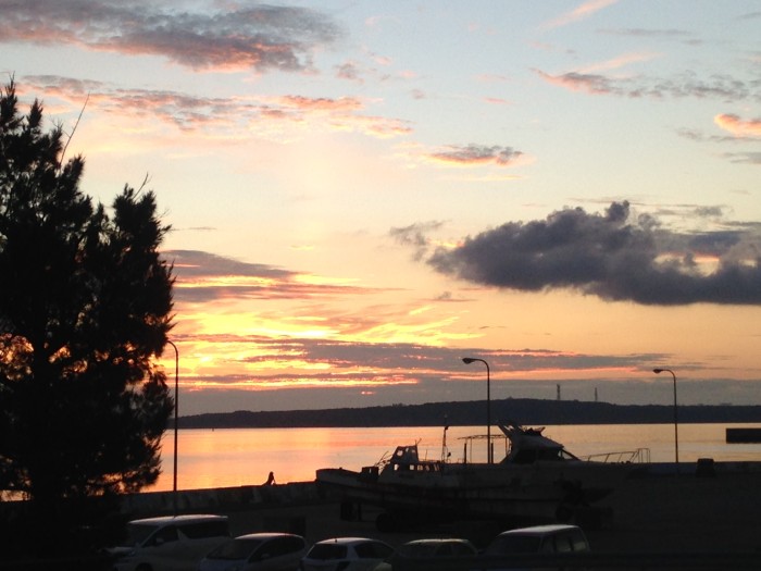 019f6554f6d2eafc566ae9e4a35a332fb326794ee1