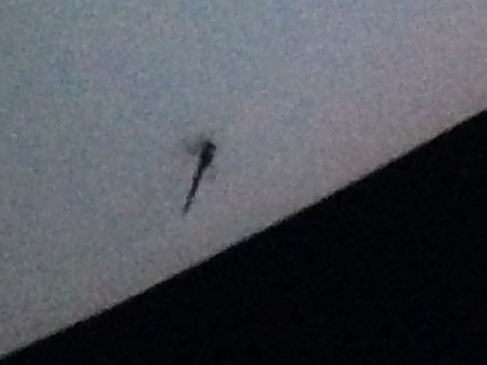 01ddce85841d3e1cdcc9859d890d4e073a169c265e_00001