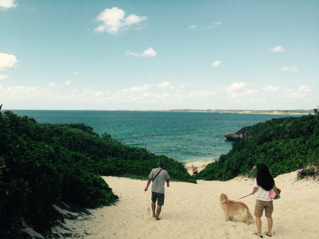 010d4ee26ded68a1f0ca243ebdde2252e5f5683b7e