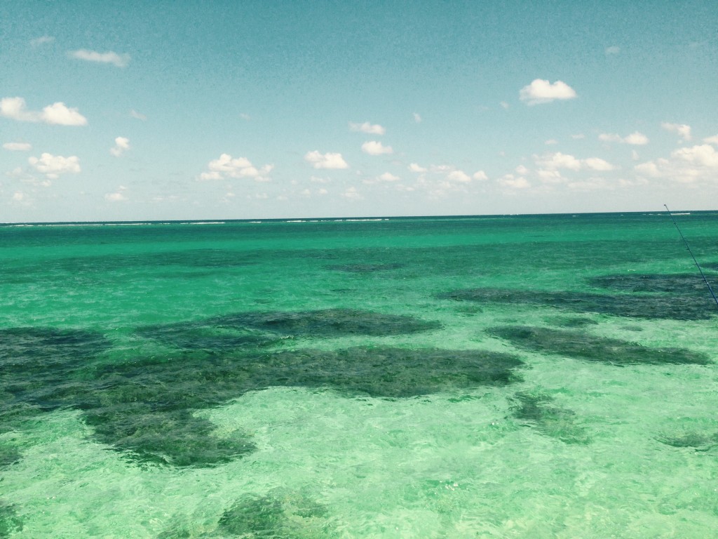 014ff14dd75fb8878d9a789b78cfe15aa00065b16e