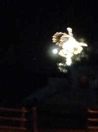 0177c74a2696704e06dee3ba81e8dbc67bd1b80084_00001