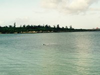 01b9448116525c33c6ea5cedb0fdc7dea2ec6f7e60