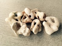 01d31f4637736148141938b6c58dff84e9d612f813