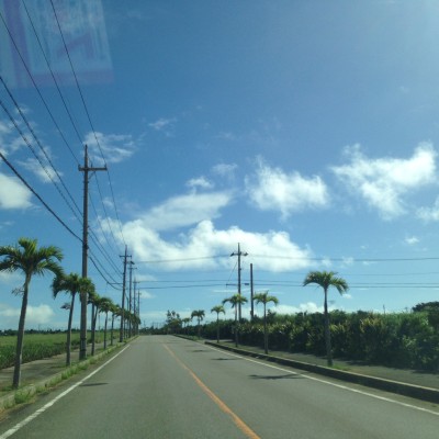 015c8fe7ada58cc7e198c3fb8b68e512651b10efe6 - コピー - コピー