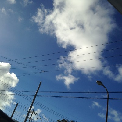 010fa297f5439964f60fc49d6d6b8eff62812c1e81