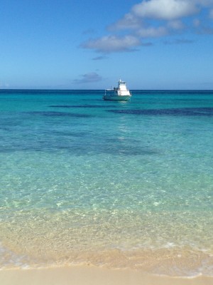 0114f01061db60836496eaeb546904a5527c784130