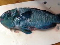 011bbd9e1a1b2c28a71bb7db3902ca5c1b9f4f142c